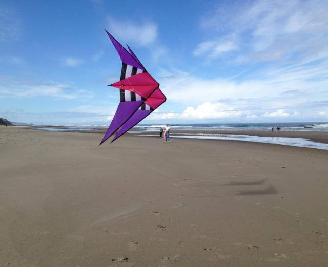 Kites for Kids Kites for The Beach Pink Little Lion Kite for